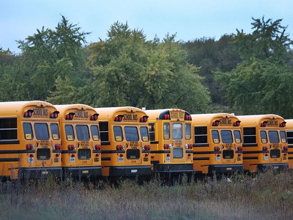 A row of parked school busses in a lot