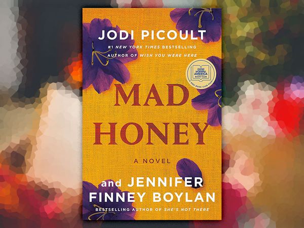 Mad Honey by Jennifer Finney Boylan and Jodi Picoult