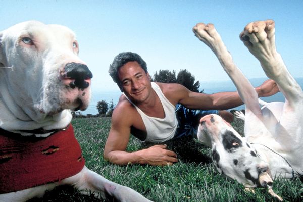 Greg Louganis with danes