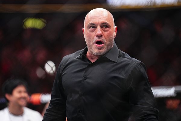 Joe Rogan officially endorses Trump following sit down with Elon Musk ...