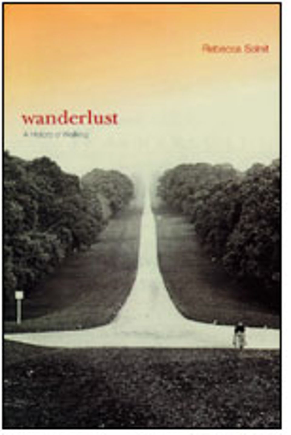 wanderlust a history of walking