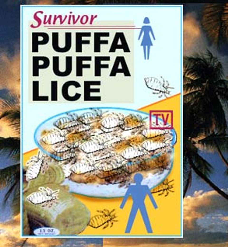 "Survivor" The merchandise  Salon.com