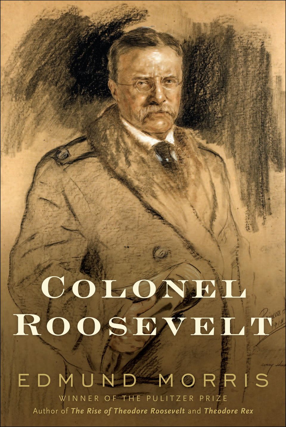 The Teddy Roosevelt biography that sets a new standard | Salon.com