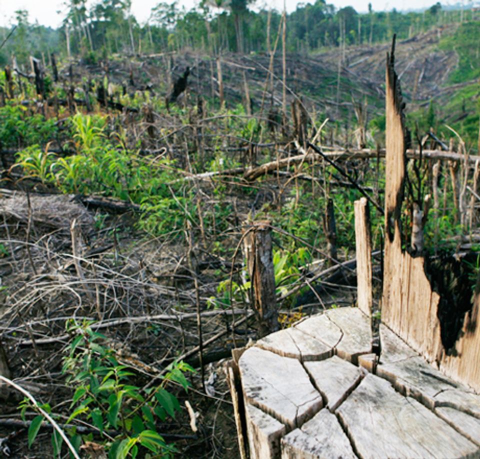 Biological annihilation: A planet in loss mode | Salon.com