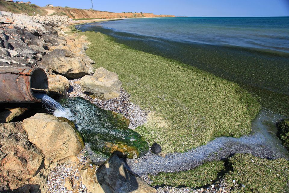 Swim at your own risk: 1 in 10 U.S. beaches is dangerously polluted