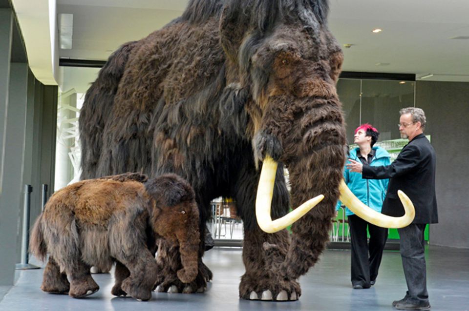 how to clone a mammoth by beth shapiro