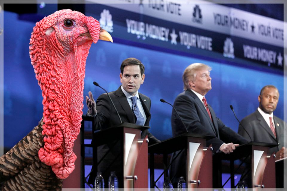 The Conservative Freakout Over Thanksgiving Debates: Here's Why The ...