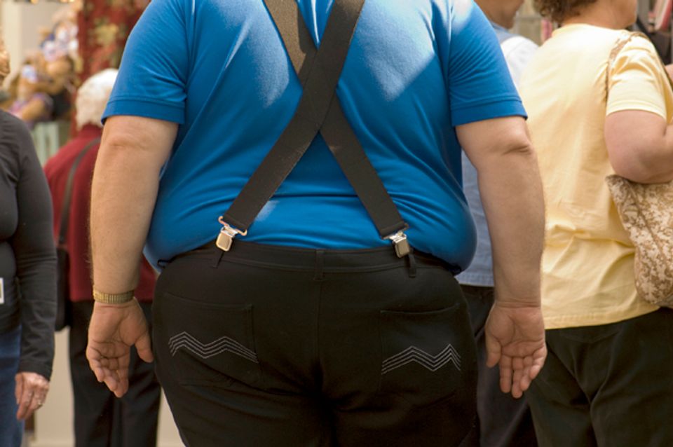 How obese is your state?: The country is in the grips of an obesity