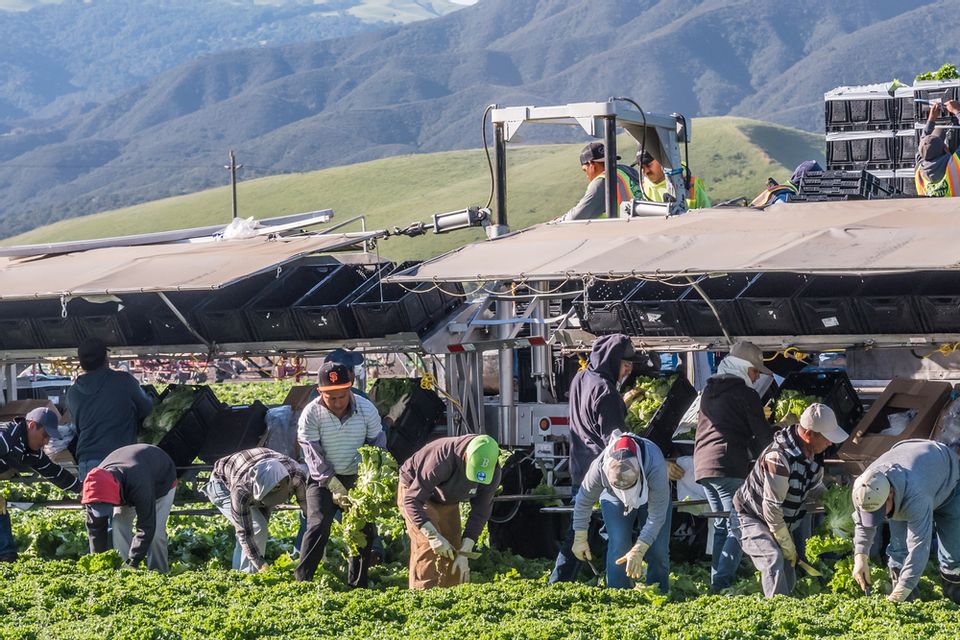 Seventy Years Of Exploitation: The Enduring Plight Of California's Farm ...