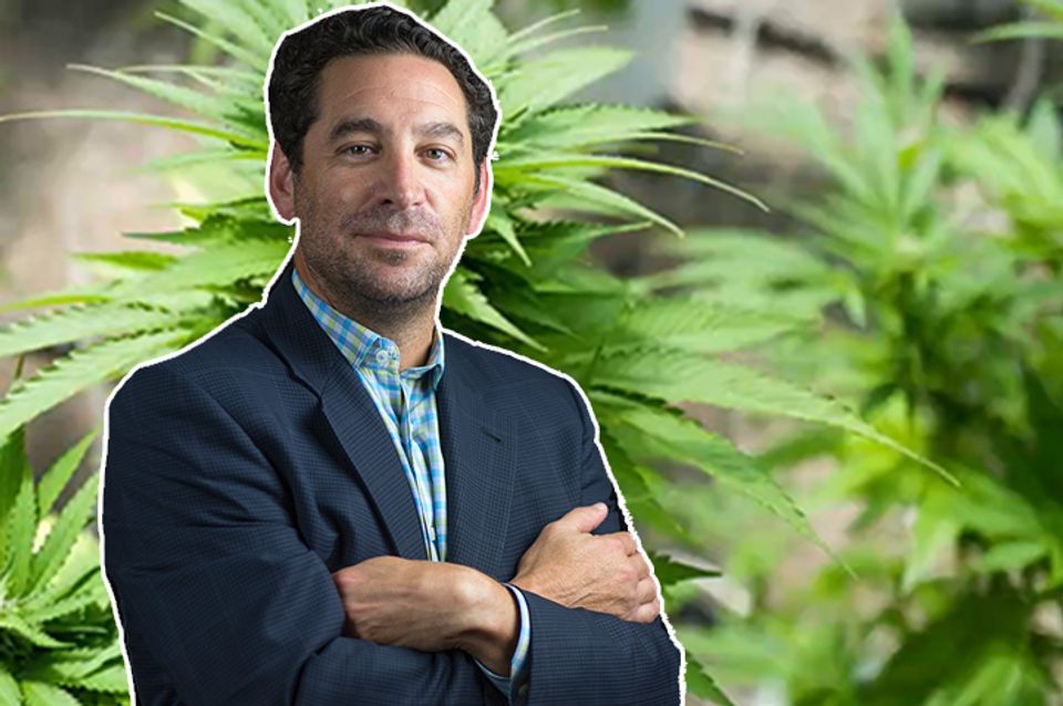 Decriminalization is not effective, says cannabis lawyer | Salon.com