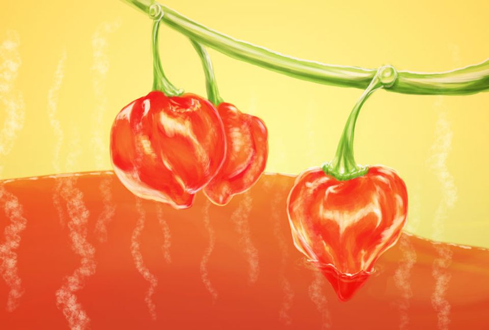 Making hot sauce from your own habanero peppers is easy and cheap — but