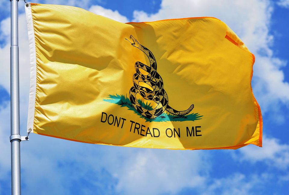 Yellow Gadsden flag, prominent in Capitol takeover, carries a long and ...