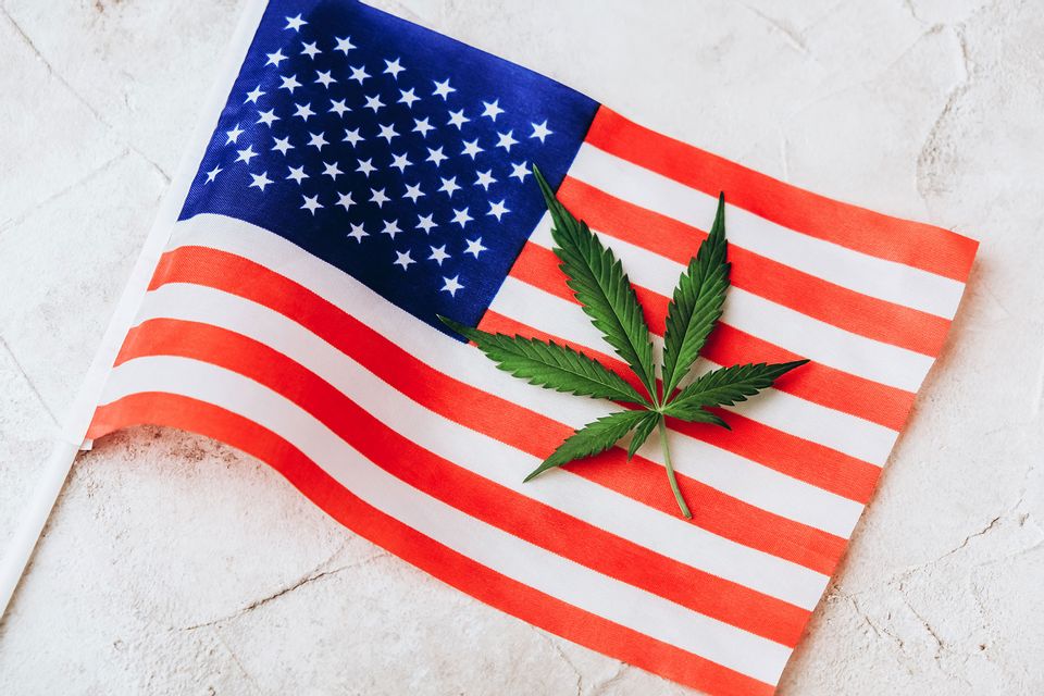 Five States Just Voted On Legalizing Recreational Marijuana. These Are ...