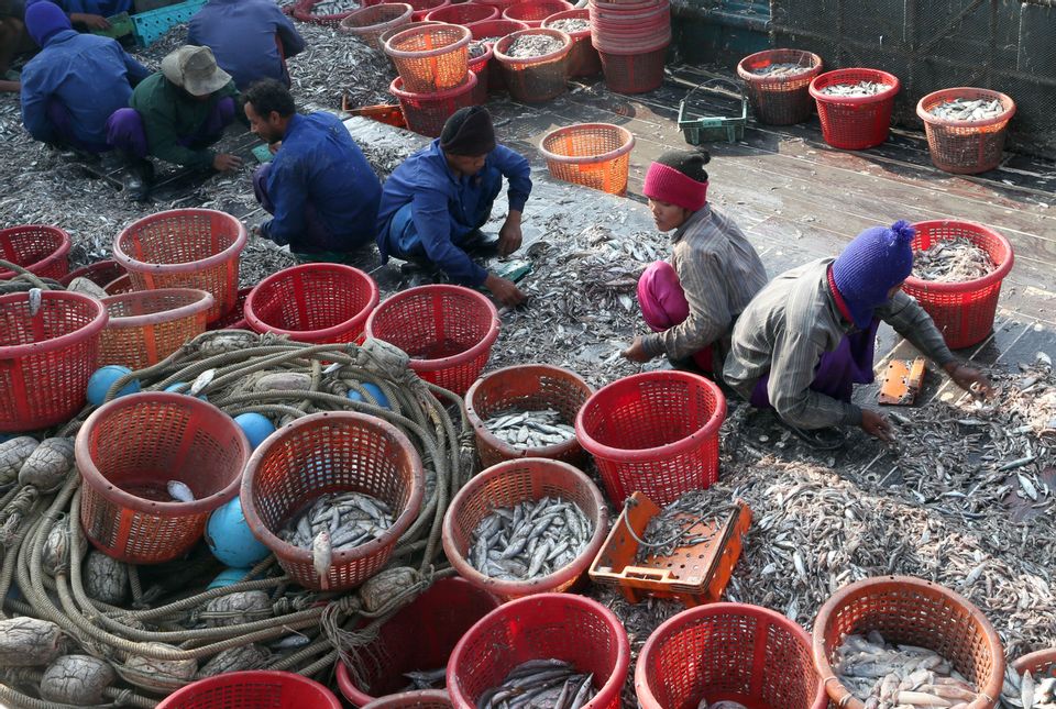 Trash Fish: It's Gross, Tainted By Slavery And Possibly In Your Dog 