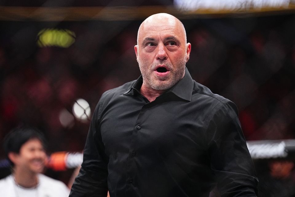 Joe Rogan officially endorses Trump following sit down with Elon Musk